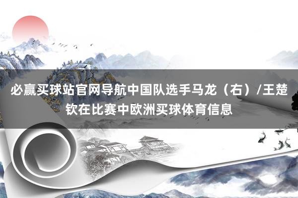 必赢买球站官网导航中国队选手马龙（右）/王楚钦在比赛中欧洲买球体育信息