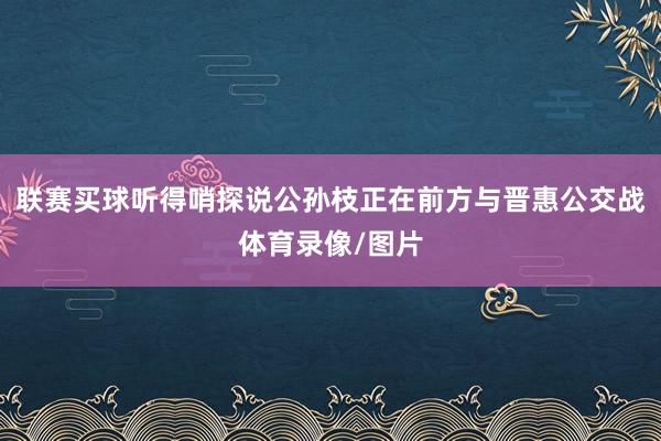 联赛买球听得哨探说公孙枝正在前方与晋惠公交战体育录像/图片