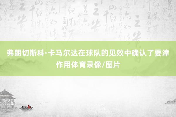 弗朗切斯科·卡马尔达在球队的见效中确认了要津作用体育录像/图片