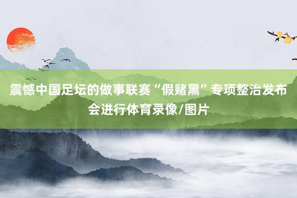 震憾中国足坛的做事联赛“假赌黑”专项整治发布会进行体育录像/图片