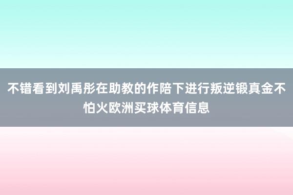 不错看到刘禹彤在助教的作陪下进行叛逆锻真金不怕火欧洲买球体育信息