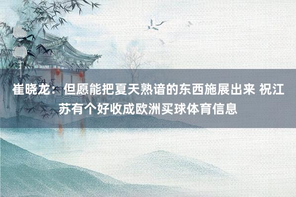 崔晓龙：但愿能把夏天熟谙的东西施展出来 祝江苏有个好收成欧洲买球体育信息