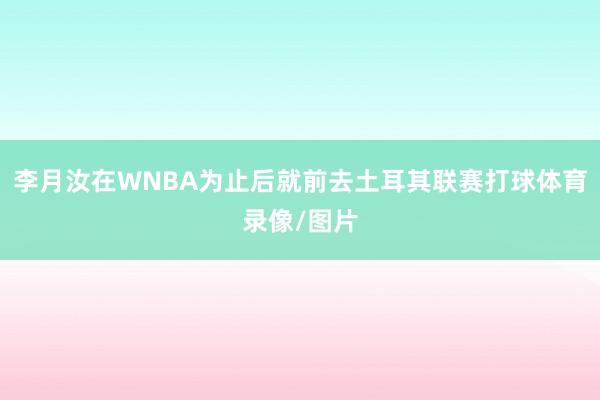 李月汝在WNBA为止后就前去土耳其联赛打球体育录像/图片