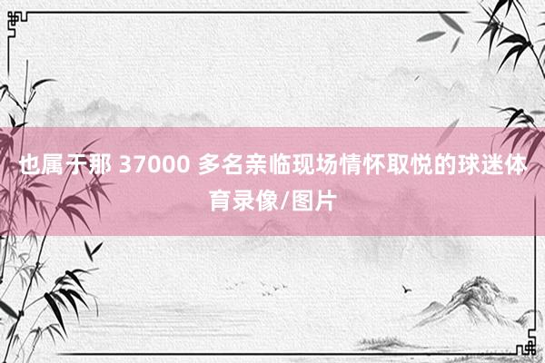 也属于那 37000 多名亲临现场情怀取悦的球迷体育录像/图片